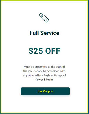 Payless Coupons